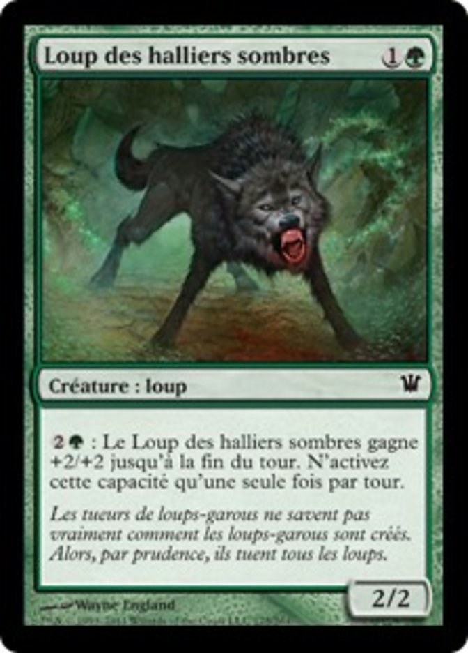 image Loup des halliers sombres