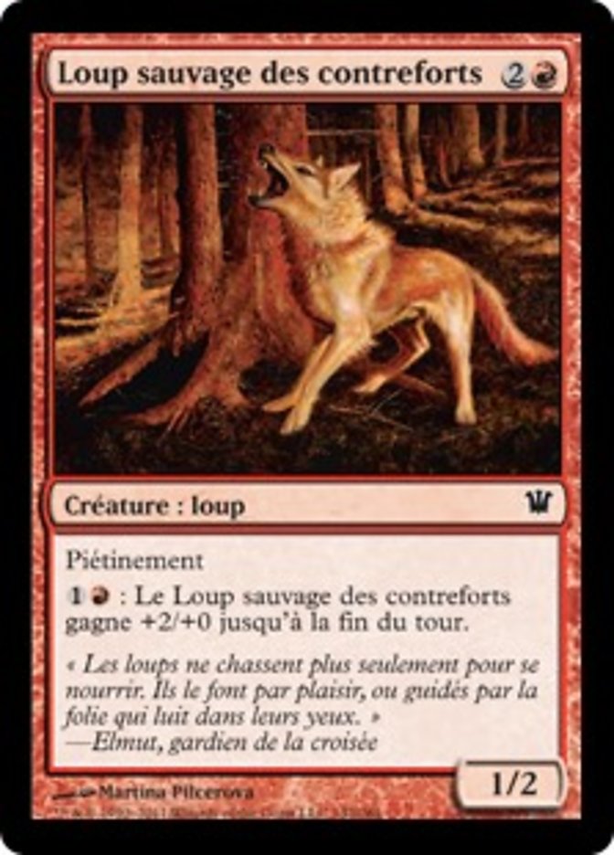 image Loup sauvage des contreforts
