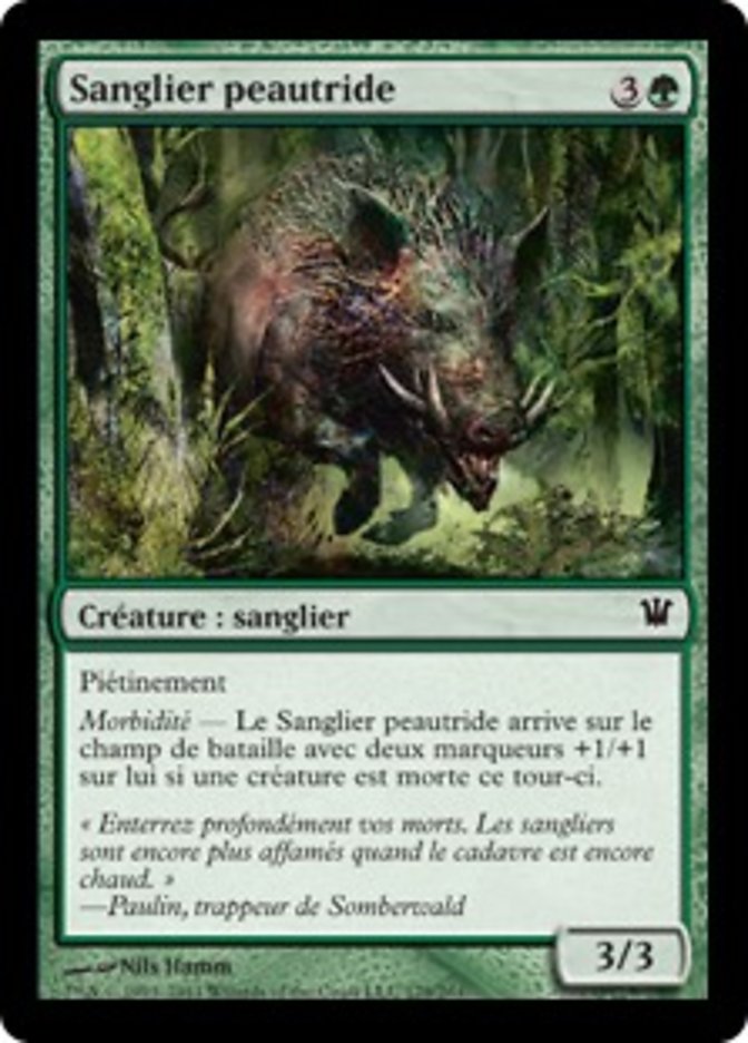 image Sanglier peautride