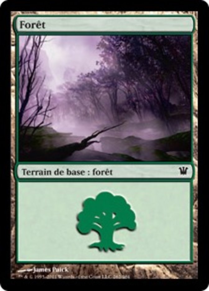 image Forêt