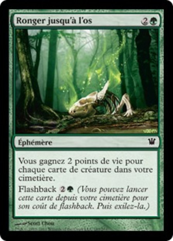 image Ronger jusqu'à l'os