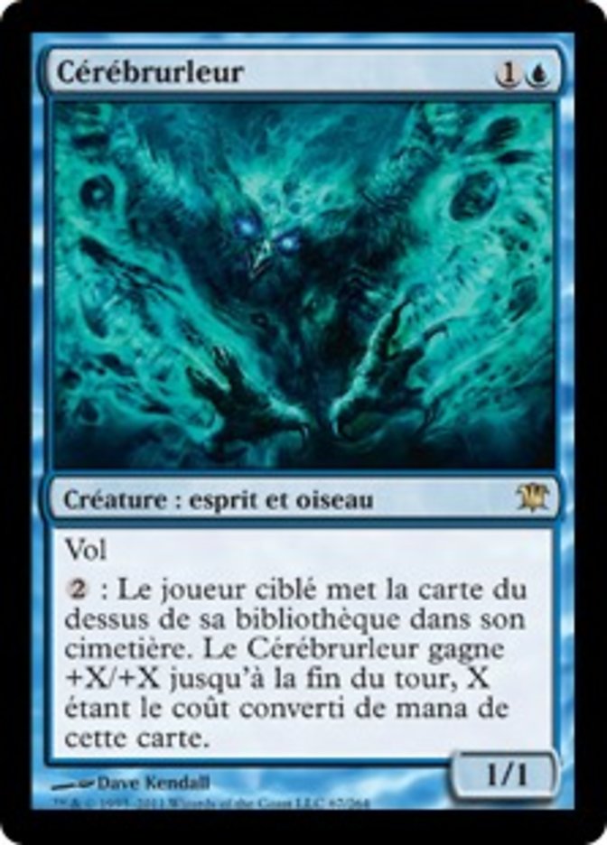 image Cérébrurleur