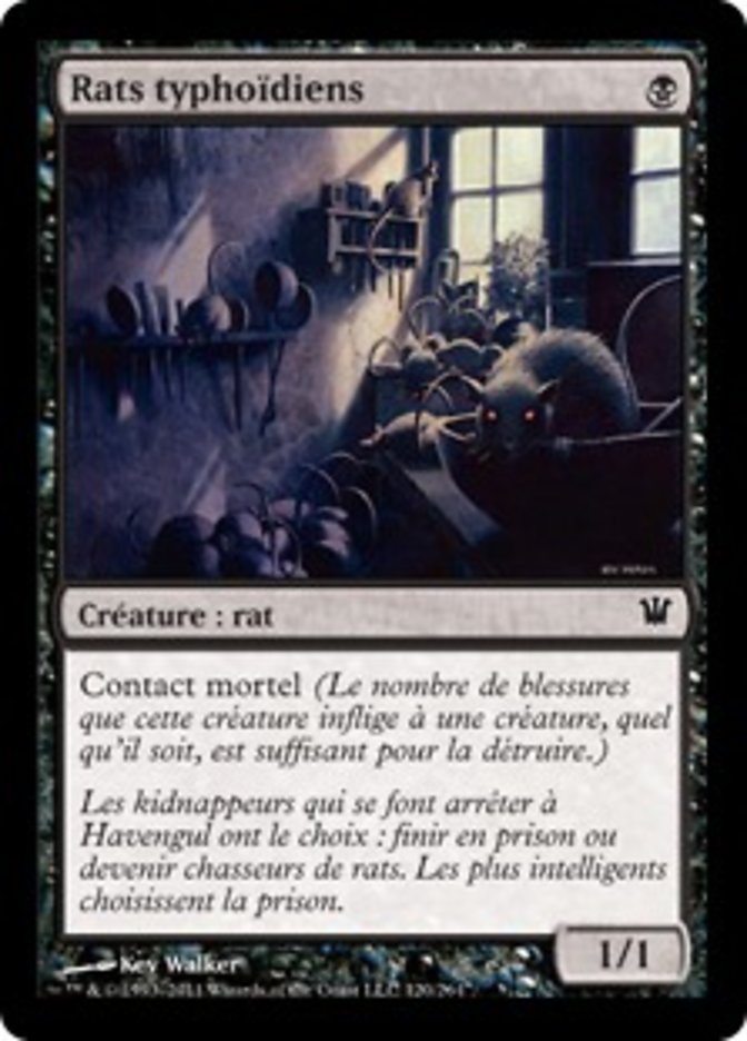 image Rats typhoïdiens