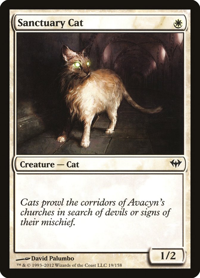 image Sanctuary Cat