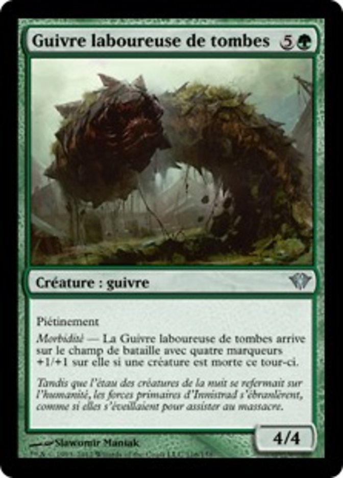 image Guivre laboureuse de tombes