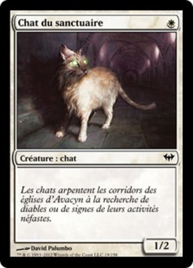 image Chat du sanctuaire