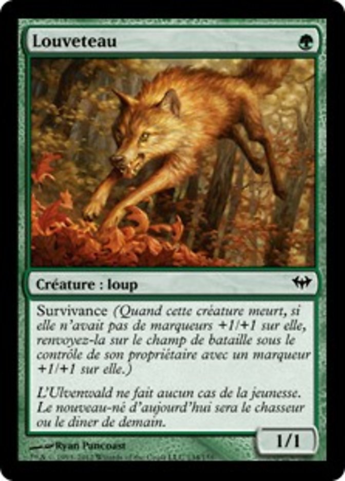 image Louveteau