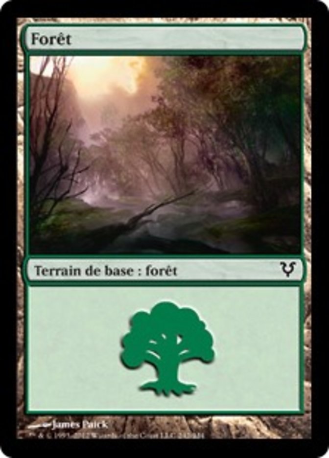 image Forêt