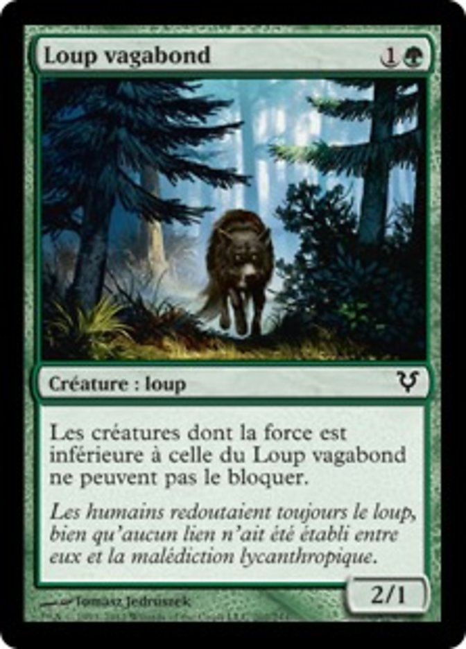 image Loup vagabond