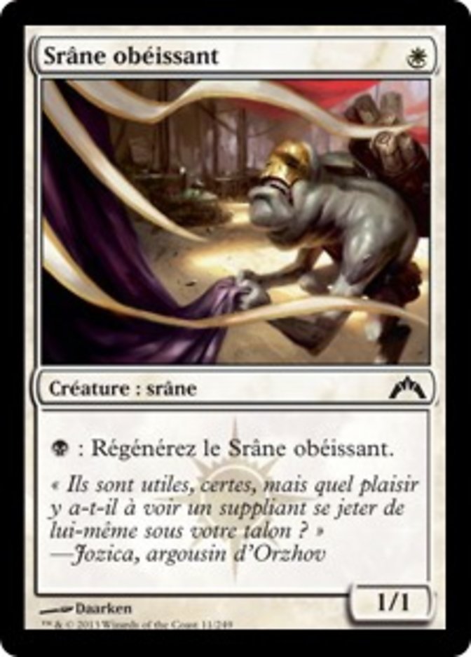 image Srâne obéissant