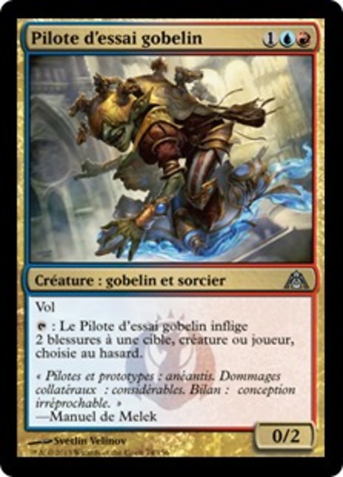 image Pilote d'essai gobelin