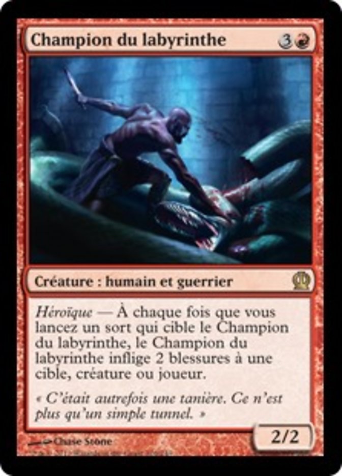 image Champion du labyrinthe