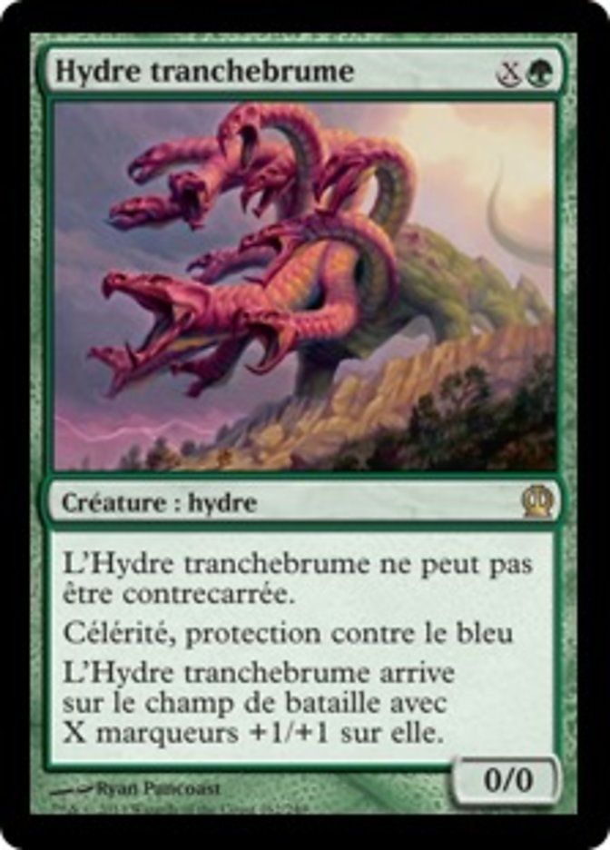 image Hydre tranchebrume