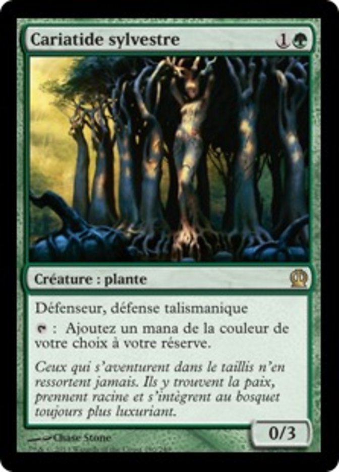 image Cariatide sylvestre