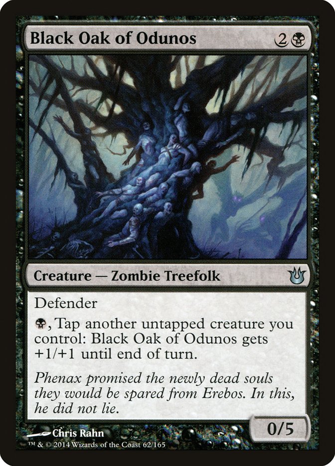 image Black Oak of Odunos