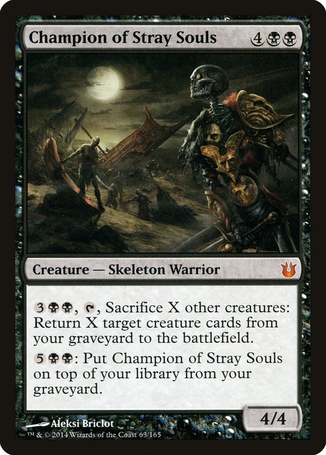 image Champion of Stray Souls