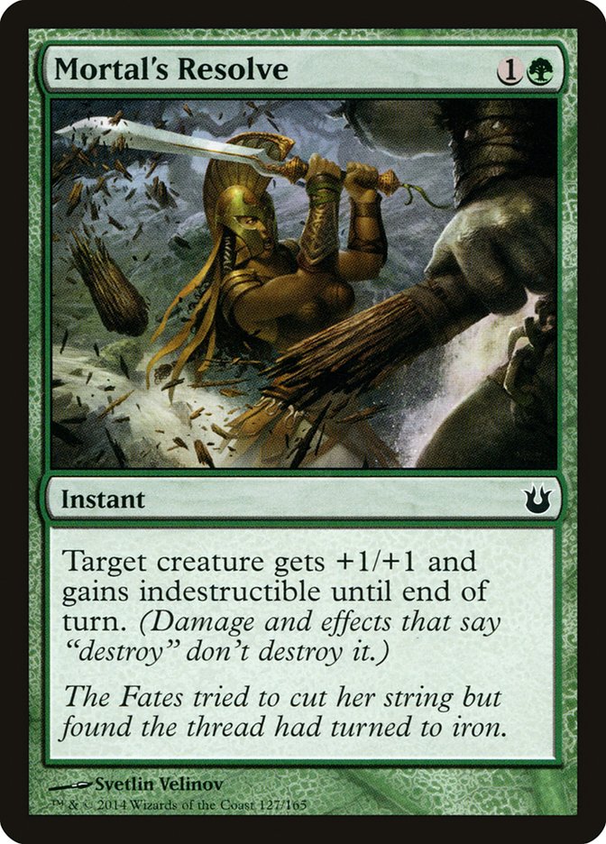 image Mortal's Resolve