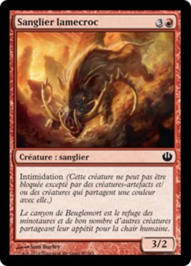 image Sanglier lamecroc