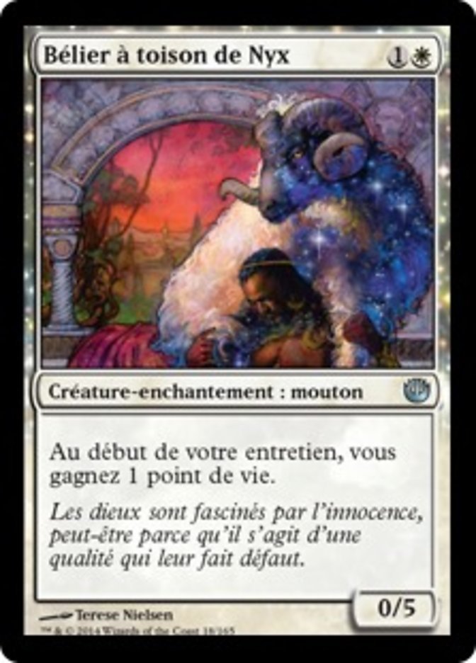 image Bélier à toison de Nyx