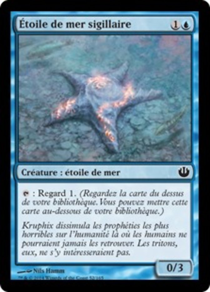 image Étoile de mer sigillaire