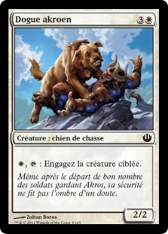 image Dogue akroen