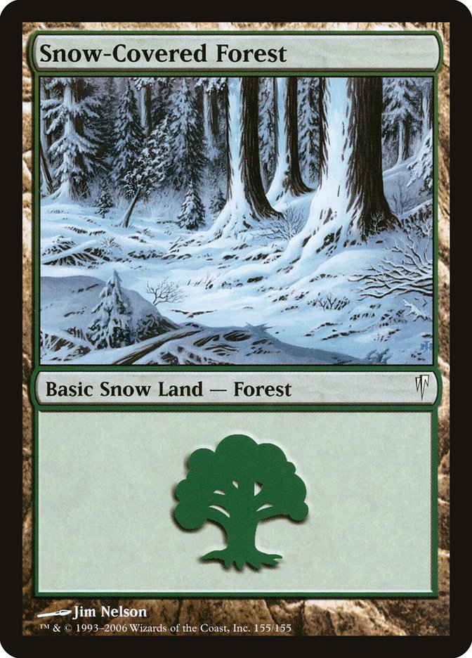 image Snow-Covered Forest