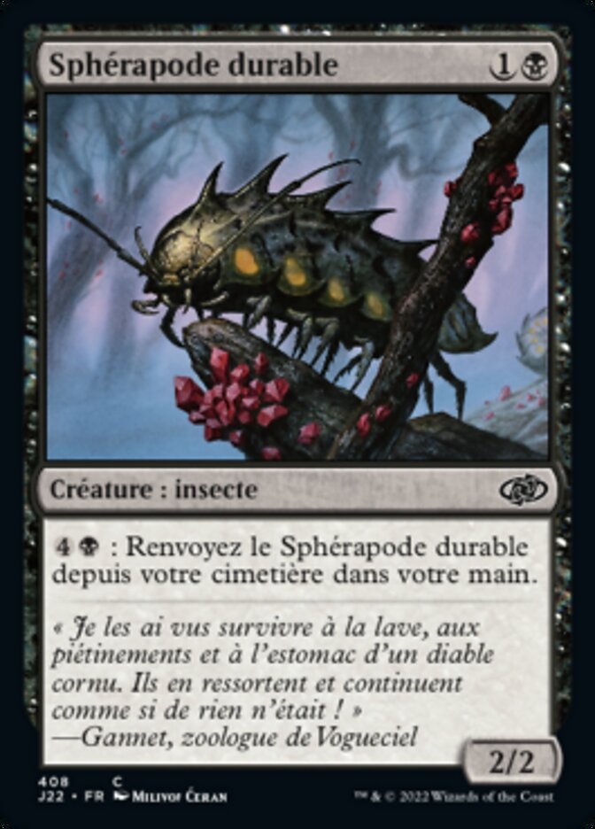 image Sphérapode durable