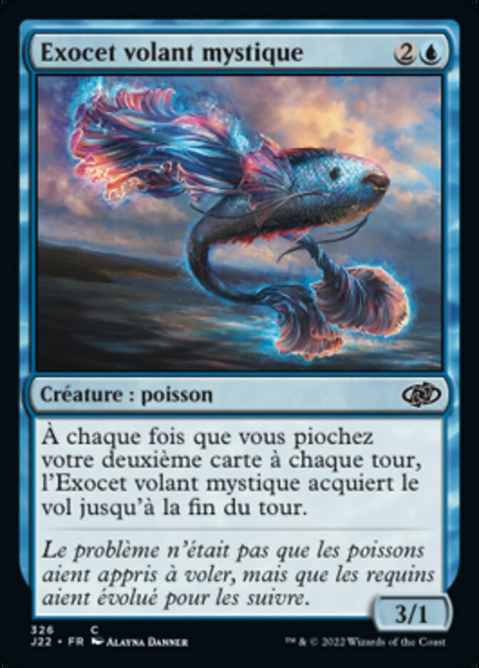 image Exocet volant mystique
