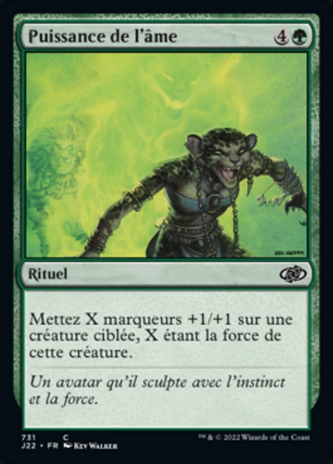 image Puissance de l'âme
