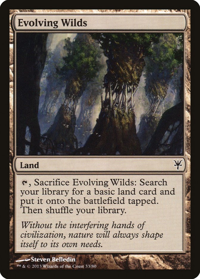 image Evolving Wilds