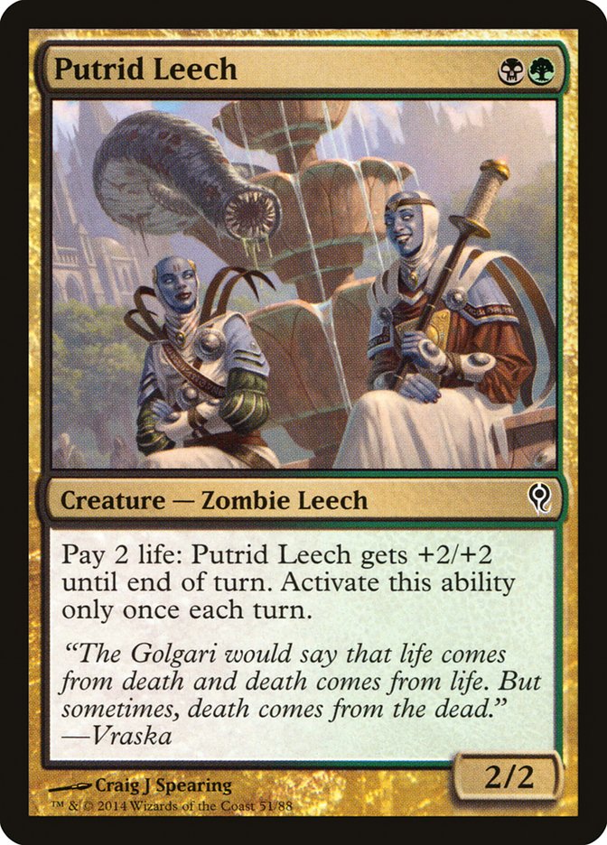 image Putrid Leech