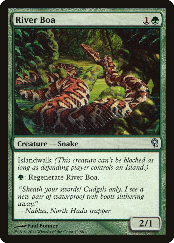 image River Boa