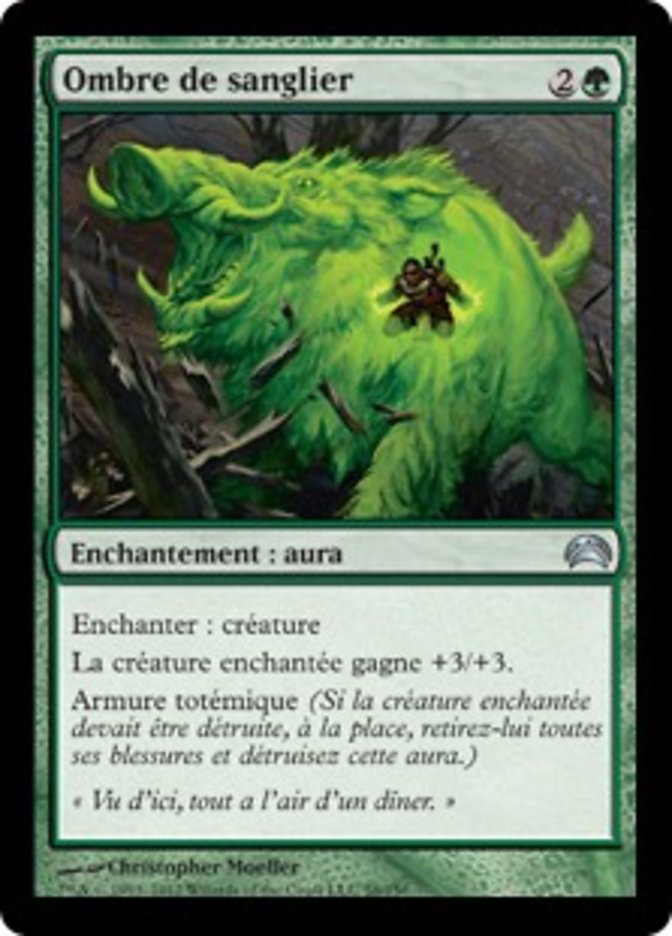 image Ombre de sanglier