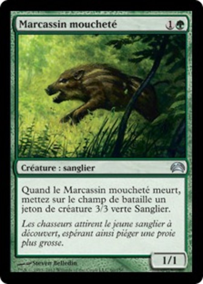 image Marcassin moucheté