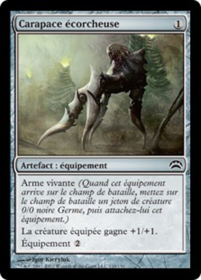 image Carapace écorcheuse