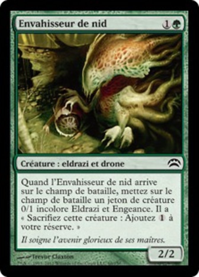 image Envahisseur de nid