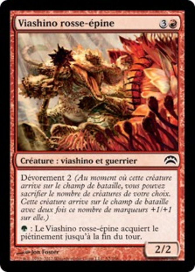 image Viashino rosse-épine