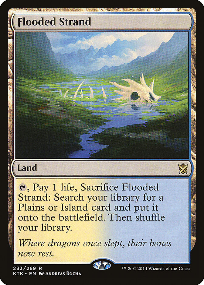 image Flooded Strand