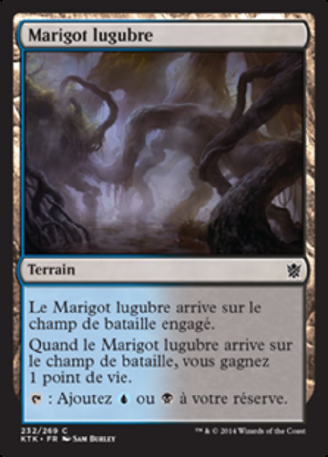 image Marigot lugubre