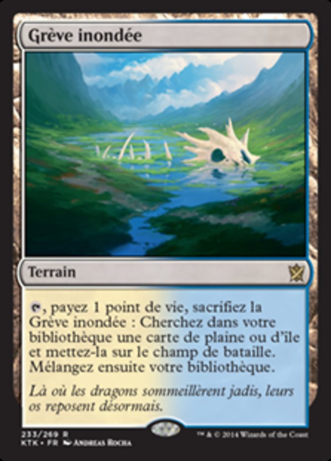 image Grève inondée