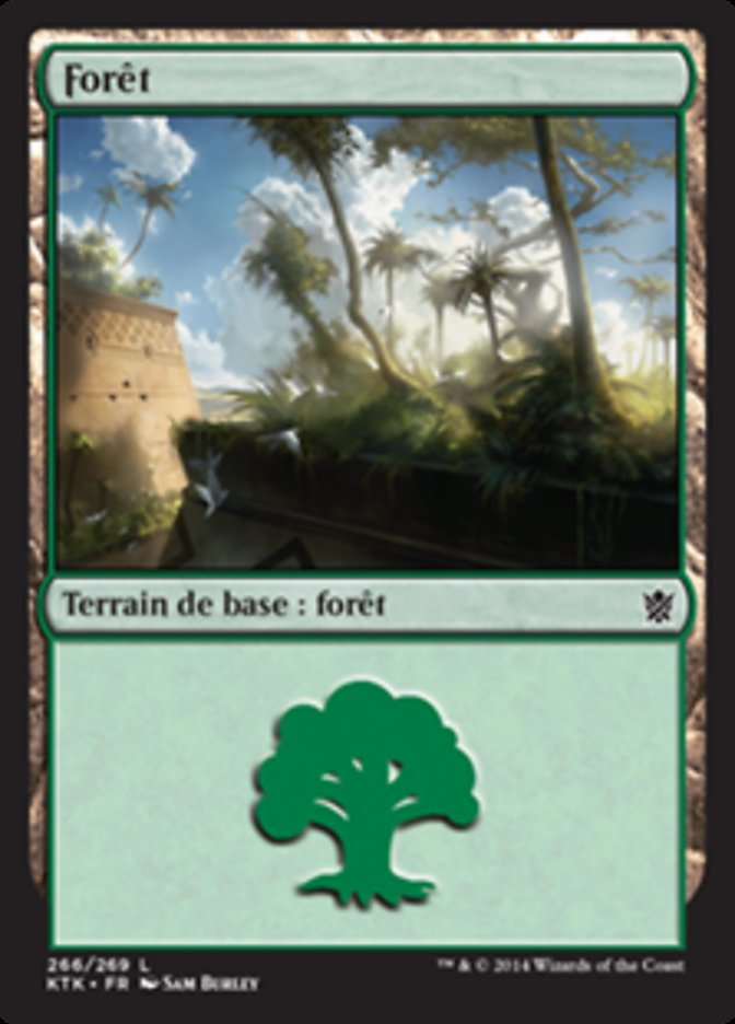 image Forêt
