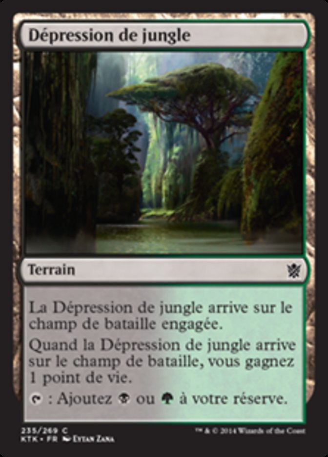 image Dépression de jungle