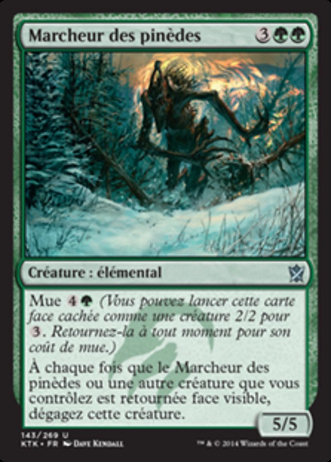 image Marcheur des pinèdes