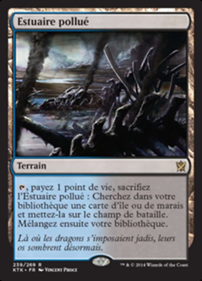image Estuaire pollué