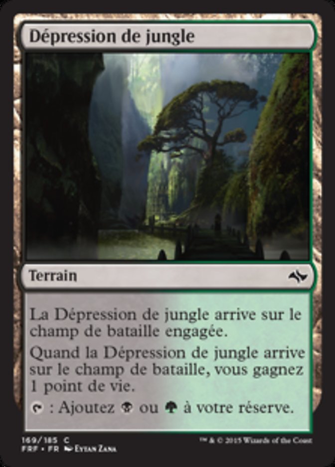 image Dépression de jungle