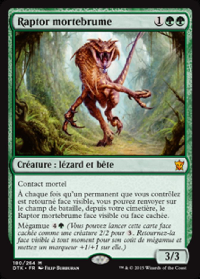 image Raptor mortebrume