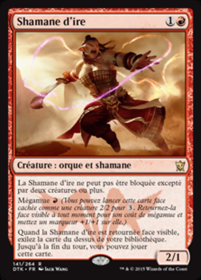 image Shamane d'ire