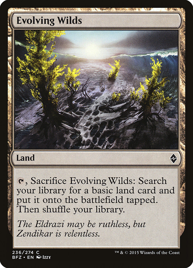 image Evolving Wilds