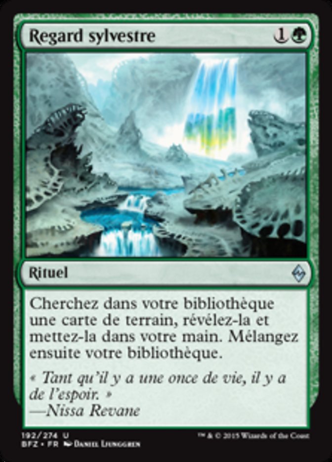 image Regard sylvestre