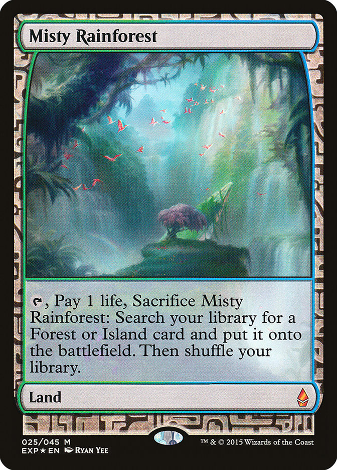 image Misty Rainforest